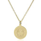 Northeastern 18K Gold Pendant & Chain Shot #1