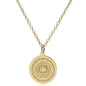 Notre Dame 14K Gold Pendant & Chain Shot #2