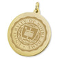 Notre Dame 18K Gold Charm Shot #2
