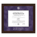 NYU Stern Diploma Frame - Excelsior