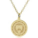 Penn 14K Gold Pendant & Chain