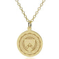 Penn 18K Gold Pendant & Chain Shot #1