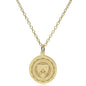 Penn 18K Gold Pendant & Chain Shot #2