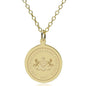 Penn State 14K Gold Pendant & Chain Shot #1