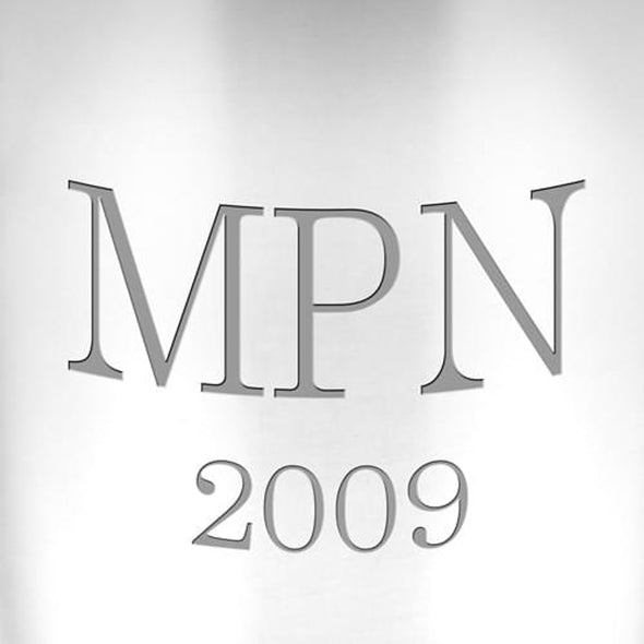 Pewter Julep Cup Shot #3