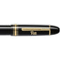 Pitt Montblanc Meisterstück 149 Fountain Pen in Gold Shot #2