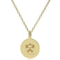 Princeton 14K Gold Pendant & Chain Shot #2