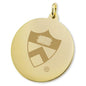 Princeton 18K Gold Charm Shot #2