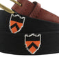Princeton University Cotton Belt Shot #2