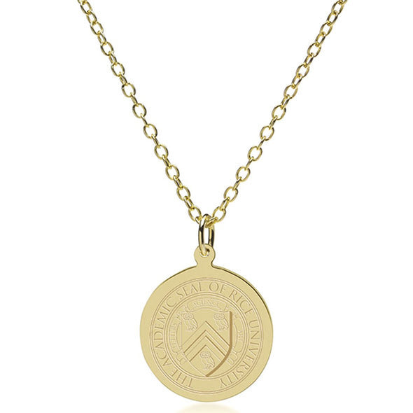 Rice 14K Gold Pendant & Chain Shot #2