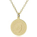 Rice 18K Gold Pendant & Chain