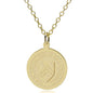 Rice 18K Gold Pendant & Chain Shot #1