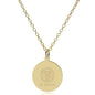 SC Johnson College 14K Gold Pendant & Chain Shot #2