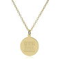 Seton Hall 18K Gold Pendant & Chain Shot #1