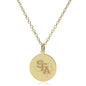 SFASU 14K Gold Pendant & Chain Shot #2