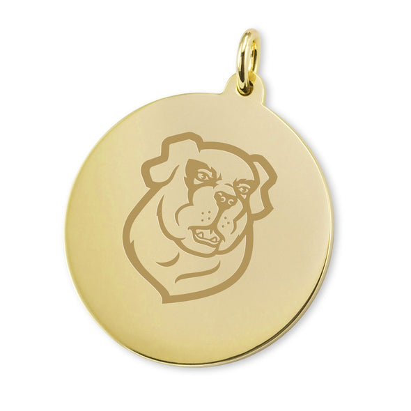 Siena 14K Gold Charm Shot #1