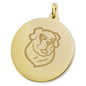 Siena 14K Gold Charm Shot #2