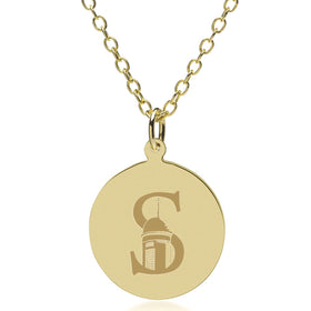 Siena 14K Gold Pendant &amp; Chain Shot #1