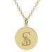 Siena 14K Gold Pendant & Chain
