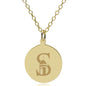 Siena 14K Gold Pendant & Chain Shot #1