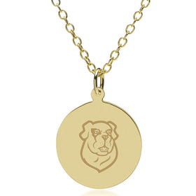 Siena 14K Gold Pendant & Chain Shot #1