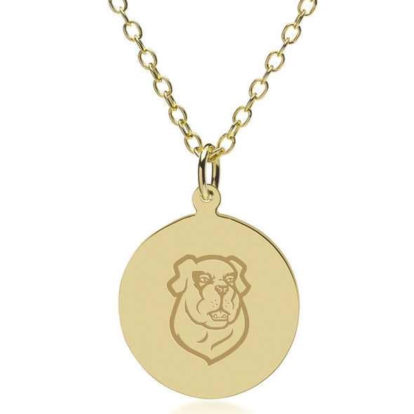 Siena 14K Gold Pendant & Chain Shot #1