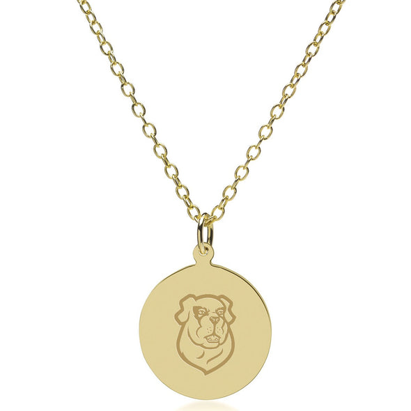 Siena 14K Gold Pendant & Chain Shot #2