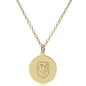 Siena 14K Gold Pendant & Chain Shot #2