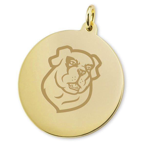 Siena 18K Gold Charm Shot #2