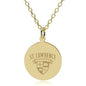 St. Lawrence 14K Gold Pendant & Chain Shot #1