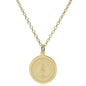 Stanford 14K Gold Pendant & Chain Shot #2