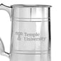 Temple Pewter Stein Shot #2