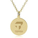 Tepper 14K Gold Pendant & Chain