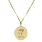 Tepper 14K Gold Pendant & Chain Shot #2