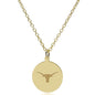 Texas Longhorns 18K Gold Pendant & Chain Shot #2