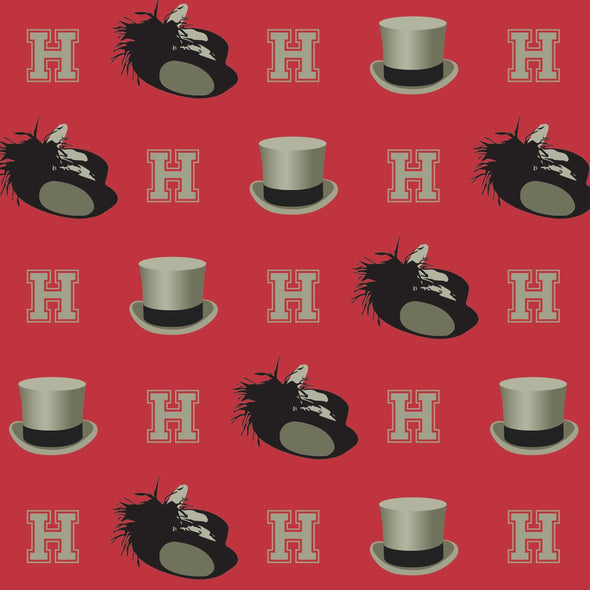 The Harvard Happy Scarf Shot #2