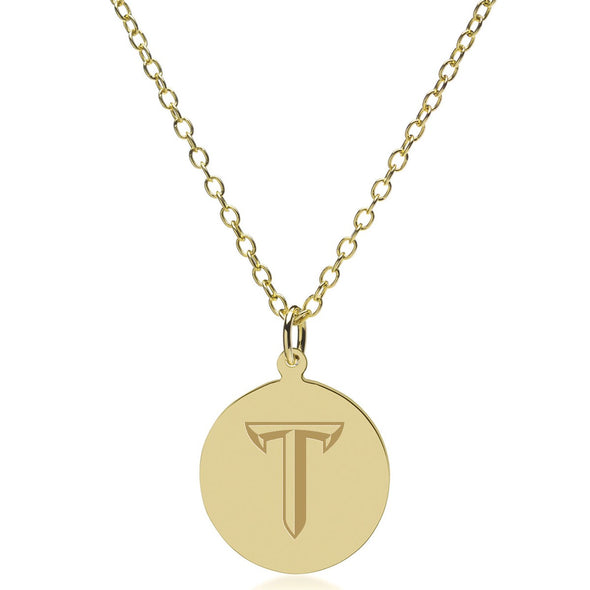 Troy 14K Gold Pendant & Chain Shot #2