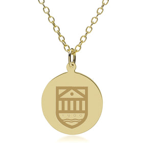Tuck 14K Gold Pendant & Chain Shot #1