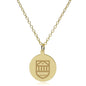 Tuck 18K Gold Pendant & Chain Shot #2