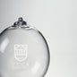 Tuck Glass Ornament by Simon Pearce Shot #2