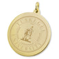 Tuskegee 14K Gold Charm Shot #2