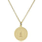 Tuskegee 18K Gold Pendant & Chain Shot #2