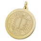 UC Davis 14K Gold Charm Shot #2