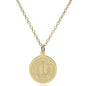 UC Davis 14K Gold Pendant & Chain Shot #2