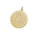 UC Irvine 14K Gold Charm