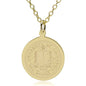 UC Irvine 14K Gold Pendant & Chain Shot #1