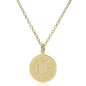 UC Irvine 14K Gold Pendant & Chain Shot #2