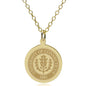 UConn 14K Gold Pendant & Chain Shot #1