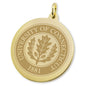 UConn 18K Gold Charm Shot #2