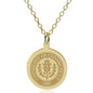 UConn 18K Gold Pendant & Chain Shot #1